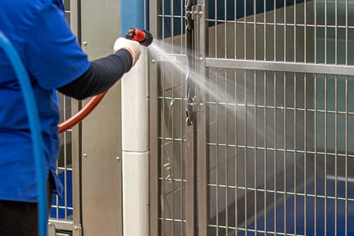 trainer using a clicker and treat to reward a German Shepherd puppy
